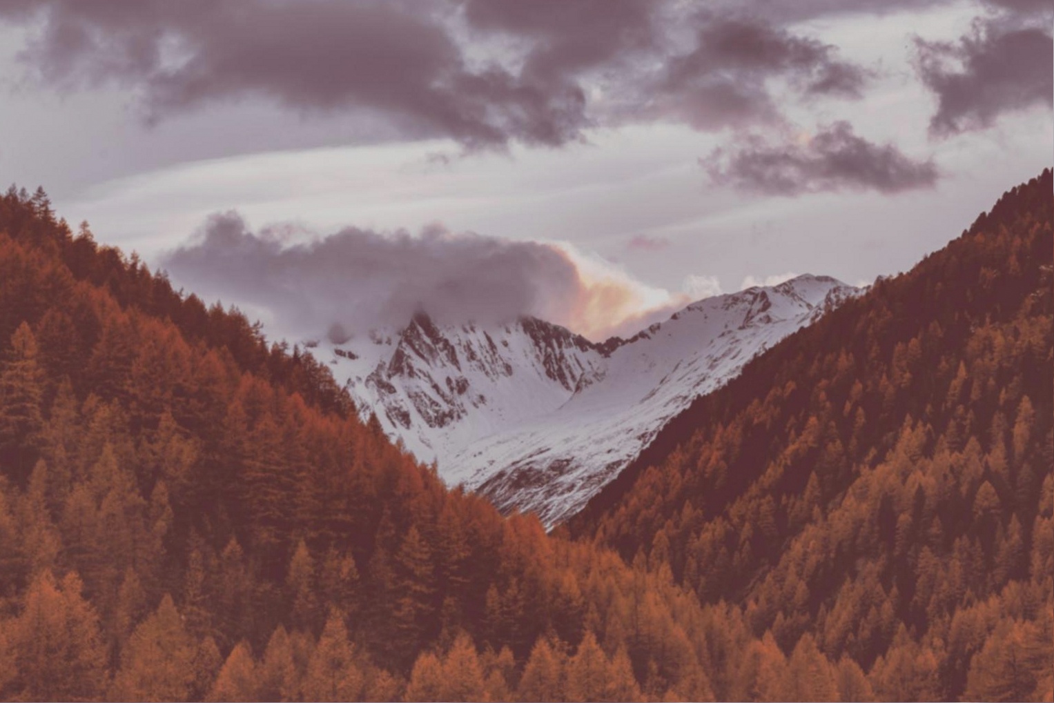 Wide atmospheric view of a tourist masterclass setting in a natural landscape